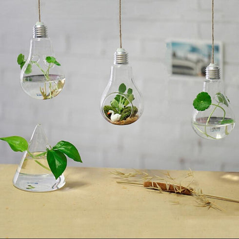 The Hanging Vase